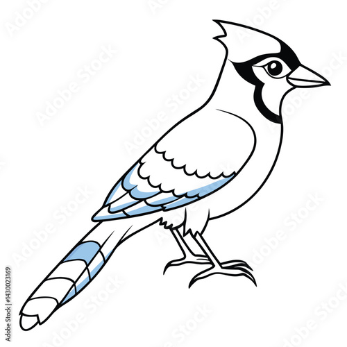 Drawing of a bird vector illustration on a white background