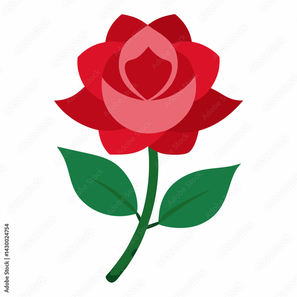 Fototapeta premium red rose isolated on white