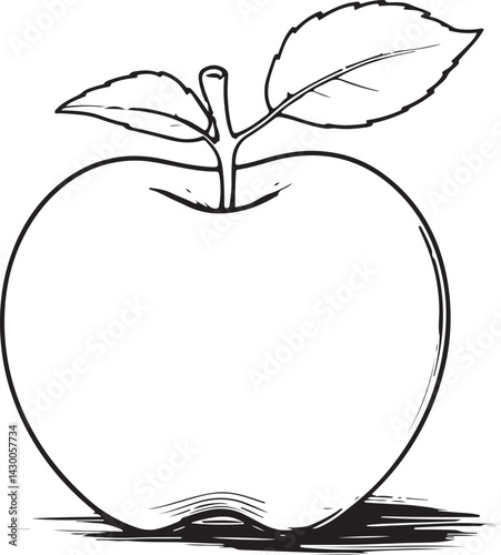Apple fruit drawing in a clean outline style with black and white detail great for educational worksheets children’s books farm branding and simple culinary visuals