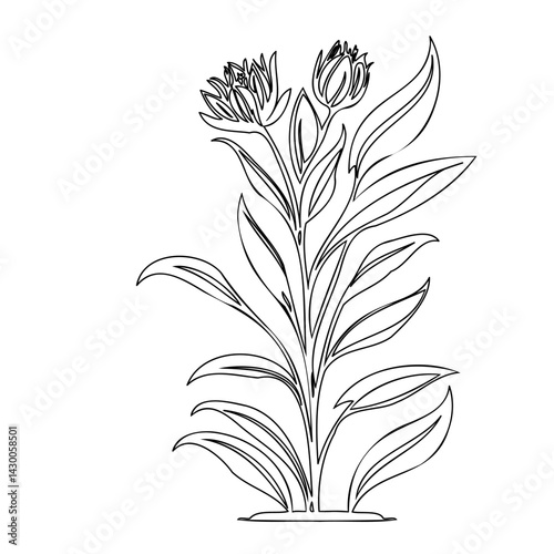 Elegant botanical drawing depicting stylized flowers and leaves in single continuous line