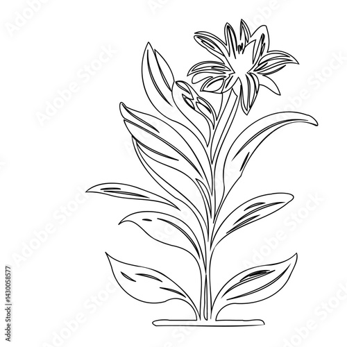 Elegant floral outline illustration featuring intricate foliage and a blossom