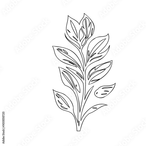 Elegant botanical illustration of a plant stem with delicate, detailed leaves