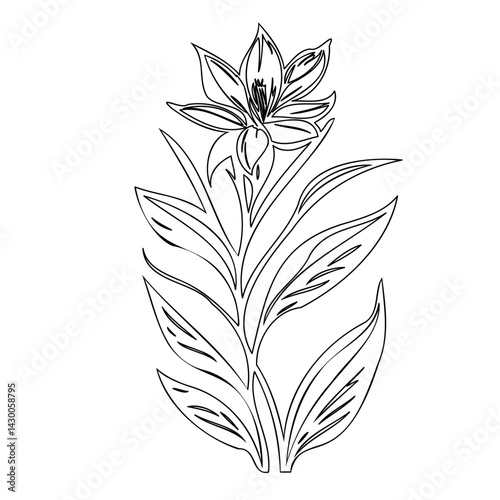 Elegant botanical illustration: A minimalist floral depiction with detailed linework
