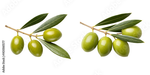 Wallpaper Mural Fresh Green Olives with Leaves on transparent Background Isolated

 Torontodigital.ca