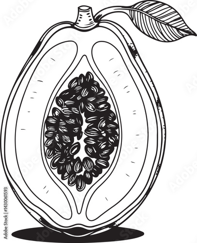 Black and white line art watermelon illustration showcasing clean minimal detail suitable for fruit packaging food logos kitchen posters and nature themed graphics