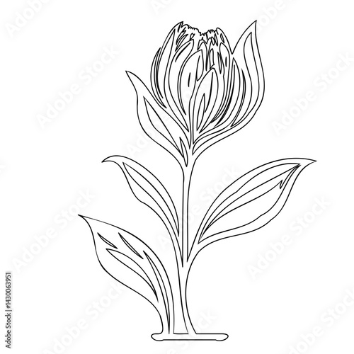 Elegant floral outline drawing, blossoming bud with stylized leaf arrangement