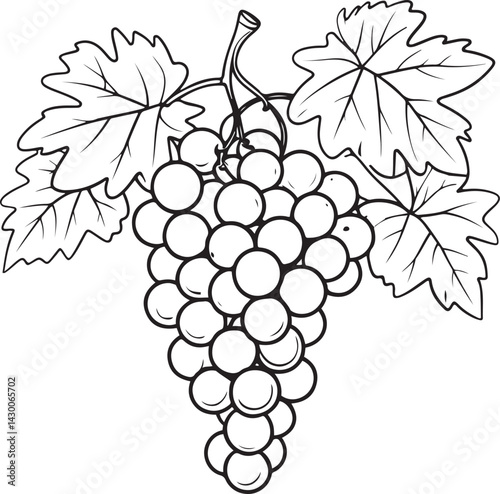 Minimal black and white illustration of peach and orange outlines in line art style perfect for natural food content clean kitchen decor and citrus themed product visuals