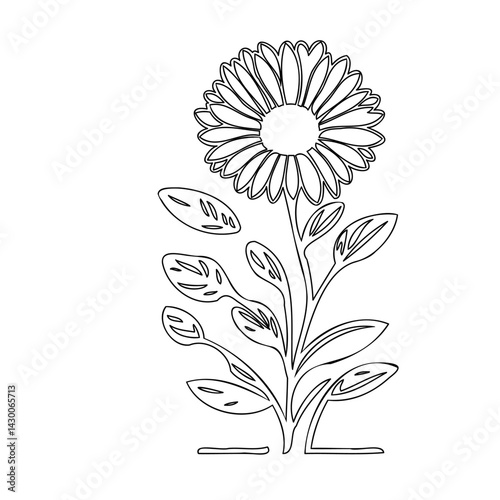 Elegant outlined floral illustration with symmetrical petals and detailed leaves
