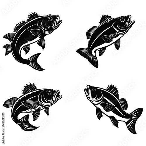 Bass fish silhouette style on white background