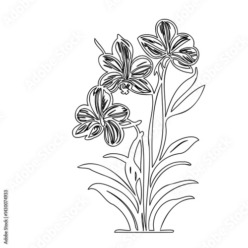 Floral outline illustration featuring delicately drawn petals and foliage design