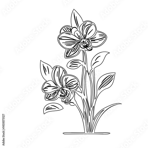 Elegance revealed: A monochrome study of orchids in artistic interpretation