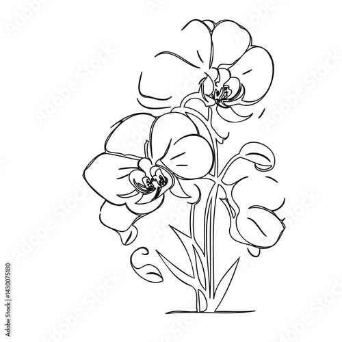 Wallpaper Mural Elegant orchid blossom illustration featuring delicate floral contours in monochrome Torontodigital.ca