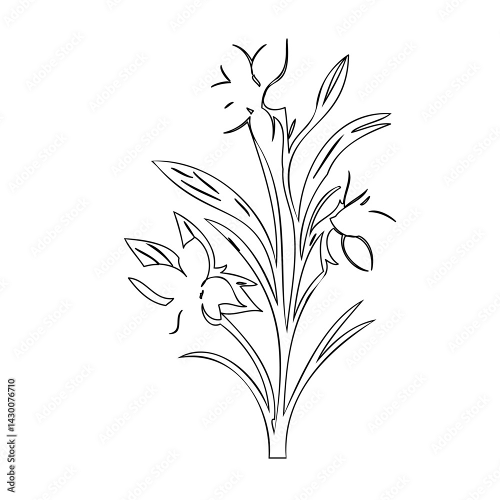 Obraz premium Elegant botanical drawing showcasing linear daffodils and foliage composition