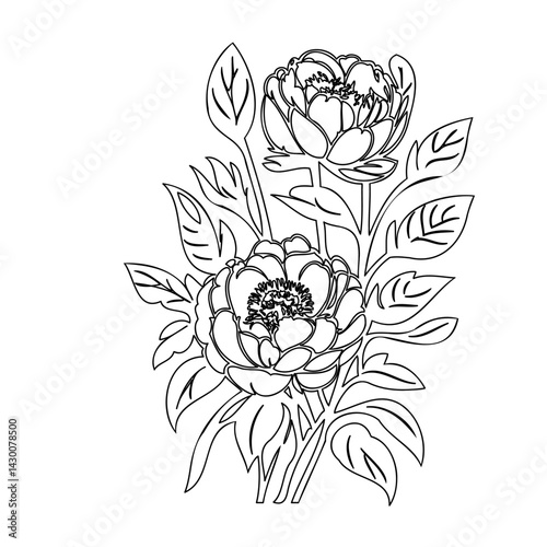 Elegant floral line art featuring blossoming peonies and detailed leaf structures