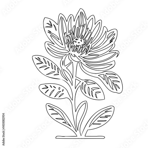 Elegant botanical illustration of a flowering plant, detailed outline style