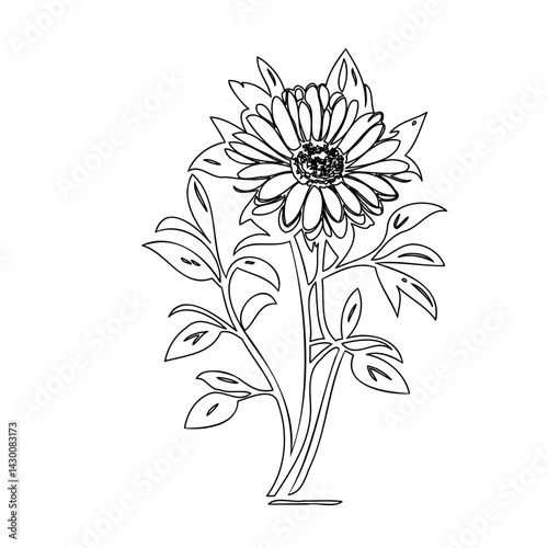 Monochrome botanical illustration featuring a blossoming flower with detailed petals