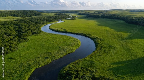 Wallpaper Mural Aerial view of a winding river through a green landscape. Torontodigital.ca