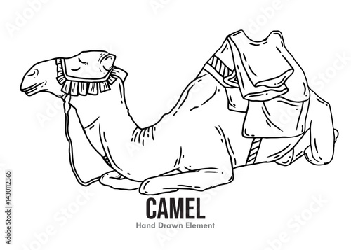 Vector illustration design of cute sitting camel