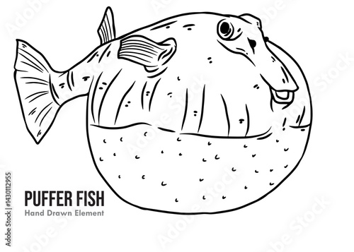 Vector design illustration of cute puffer fish hand drawn
