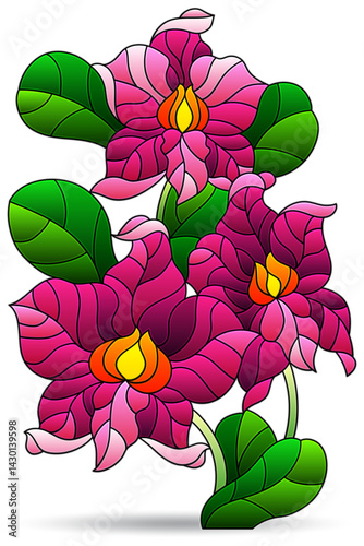Stained glass illustration with orchid flowers , flowers isolated on a white background