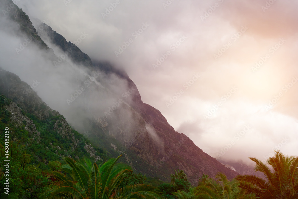 Lush vegetation and foggy slopes in European fjord valley