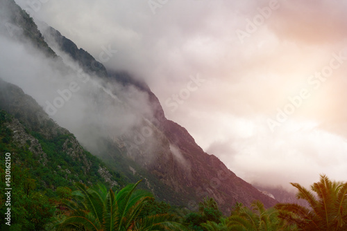 Obraz na płótnie Lush vegetation and foggy slopes in European fjord valley w salonie