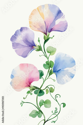 Sweet pea flower in watercolor. Isolated pastel bloom for romantic and vintage compositions.