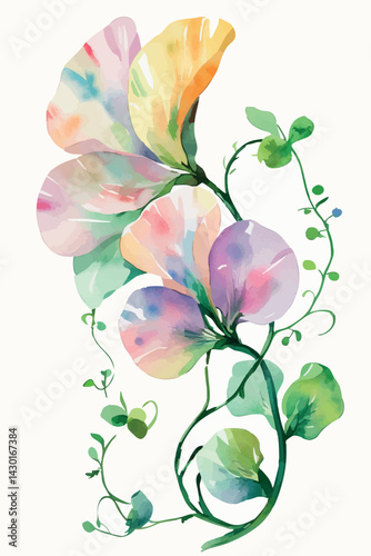 Sweet pea flower in watercolor. Isolated pastel bloom for romantic and vintage compositions.