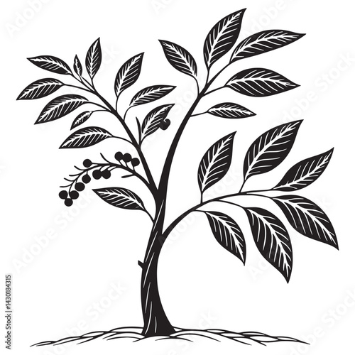 Minimalist tree illustrations