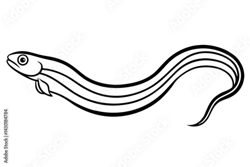Minimalist Eel Line Art