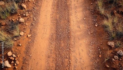 Dusty desert trail.  Dry, orange dirt path with distinct tire tracks, surrounded by sparse desert scrub