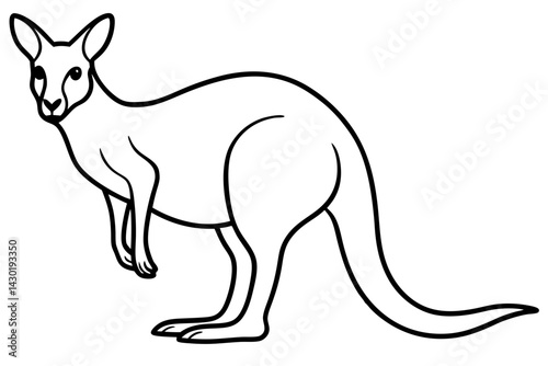 Minimalist Kangaroo Line Art