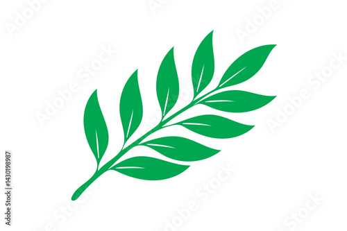 leaf of olive tree vector silhouette with whit background.
