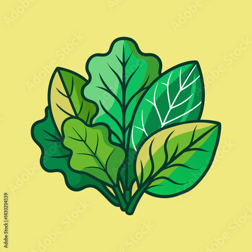 Illustration of fresh spinach leaves in various shades of green color