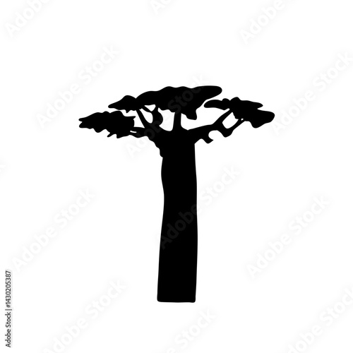 Baobab trees silhouette