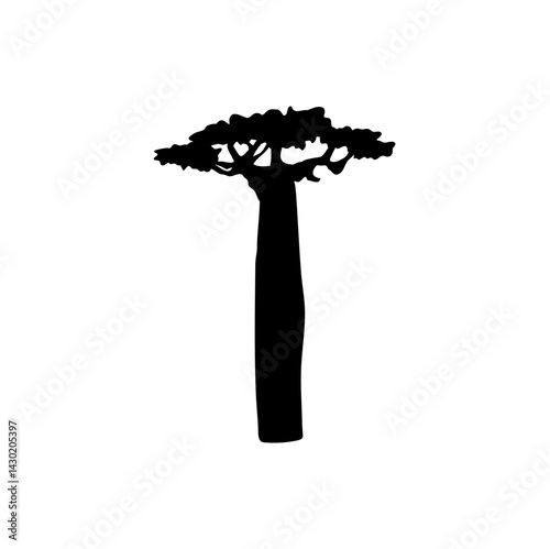 Baobab trees silhouette