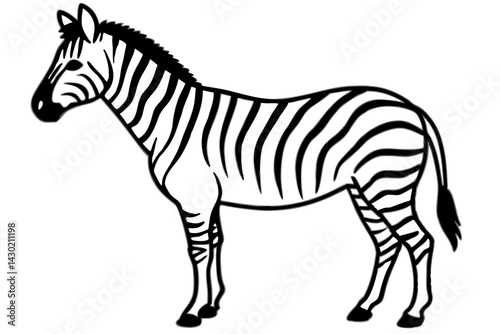 Minimalist Zebra Vector
