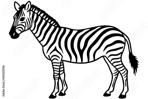 Minimalist Zebra Vector