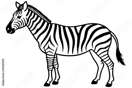 Minimalist Zebra Vector