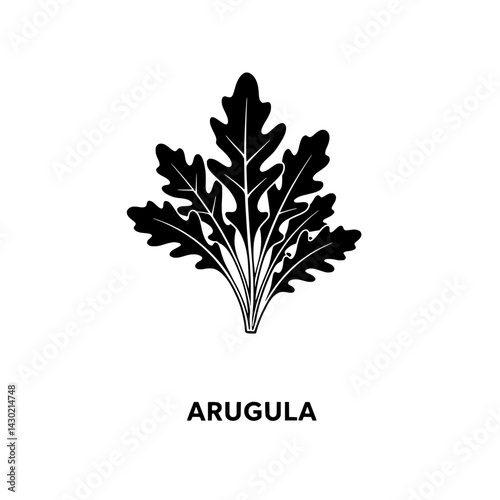 Arugula Illustration: A striking black-and-white vector illustration of arugula, showcasing its distinct, lobed leaves and robust texture, set against a clean backdrop.