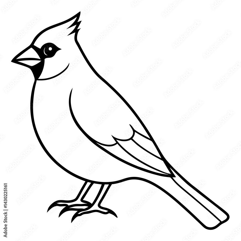 Obraz premium Elegant Cardinal Outline Vector Design