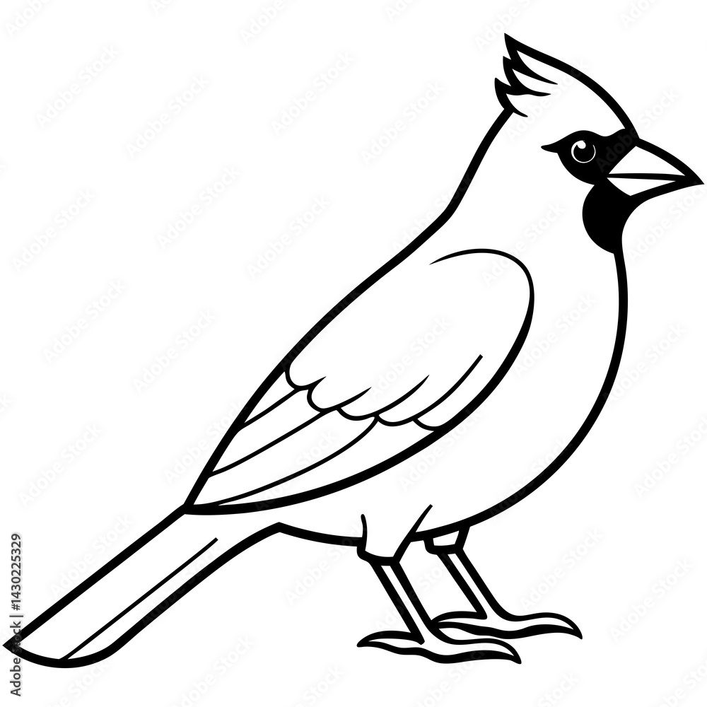 Obraz premium Elegant Cardinal Outline Vector Design