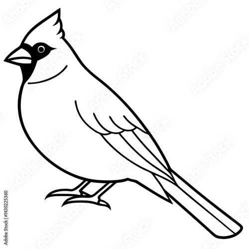 Elegant Cardinal Outline Vector Design