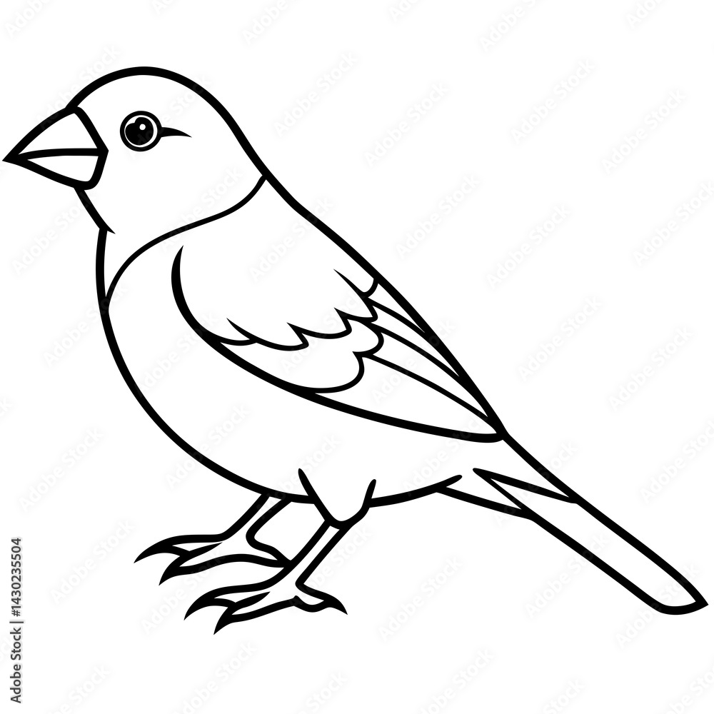 Obraz premium Elegant Finch One-Line Drawing