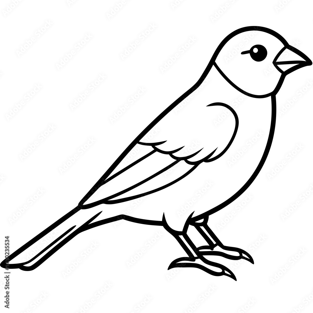 Obraz premium Elegant Finch One-Line Drawing