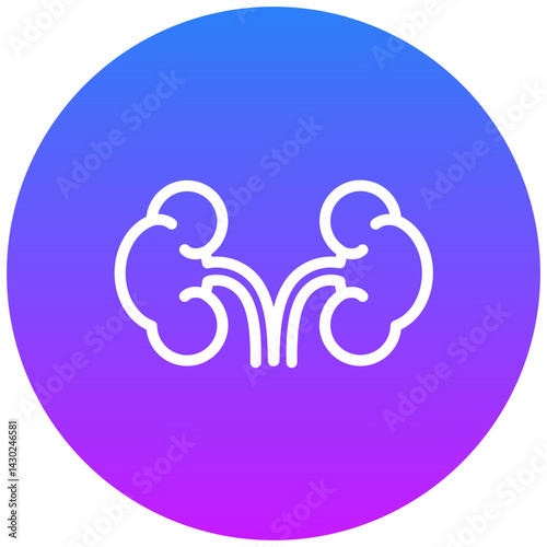 Kidneys Icon