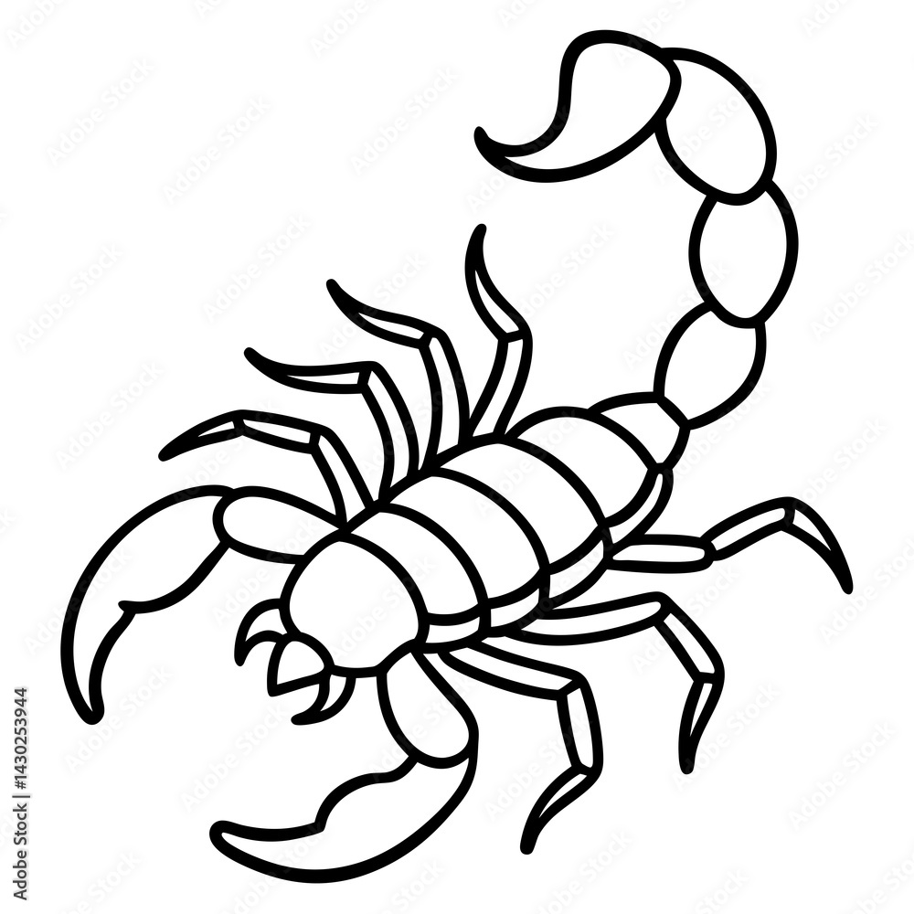 Fototapeta premium Elegant Scorpion Line Drawing