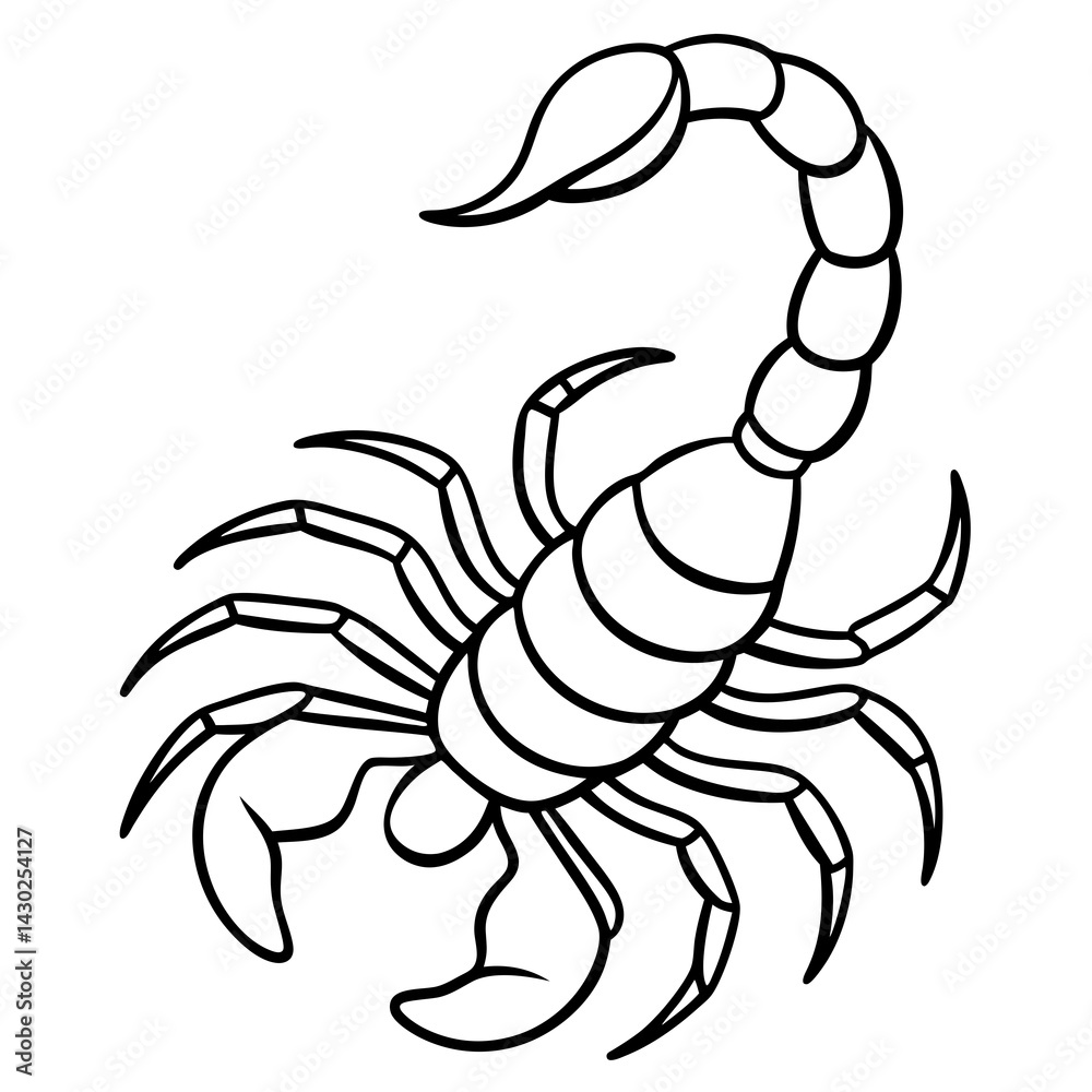 Fototapeta premium Elegant Scorpion Line Drawing