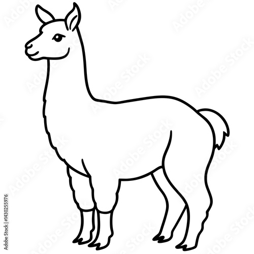 Elegant Llama Line Art Illustration