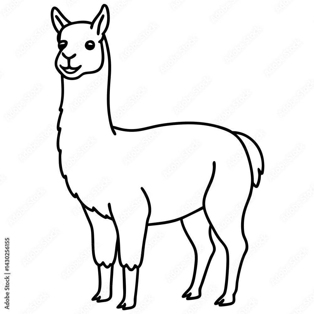 Fototapeta premium Elegant Llama Line Art Illustration